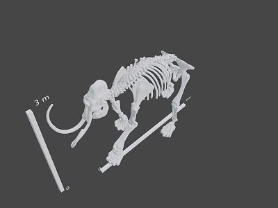 Prehistoric Game Film Character Elephant Skeleton Model With 3 Meters Height 3d model