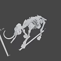 Prehistoric Game Film Character Elephant Skeleton Model With 3 Meters Height