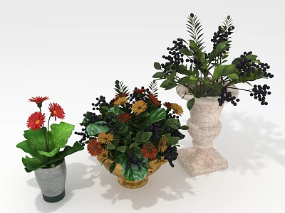 Colorful Potted Plants With Red Orange Yellow Flowers Dark Black Berries And Green Leaves 3d model