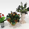 Colorful Potted Plants With Red Orange Yellow Flowers Dark Black Berries And Green Leaves