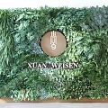 Lush Vertical Green Plant Wall With Round Decor And Various Greenery For Interior Design