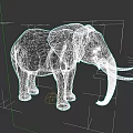 Gray African Elephant with Long Curved Tusks and Large Ears Standing Against Dark Background