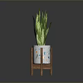 Green Variegated Leaf Plant In White Pot With Colorful Patterns On Wooden Stand