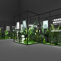 Life Artist Exhibition With Glass Display Cases Green Plants Sculptures And Paintings