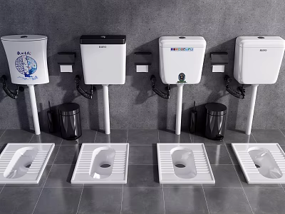 Squat Toilets With Water Tanks Black Trash Bins On Gray Wall And Tiled Floor 3d model