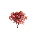 Three Vibrant Trees With Orange Pink And Red Autumn Foliage