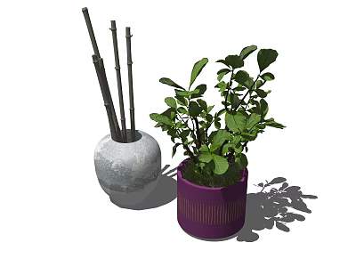 Potted Bonsai Plant in Purple Pot with Gray Vase Slender Branches Green Leaves and Shadows 3d model