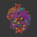 Vibrant Coral Shaped Flowers with Red Orange Purple Blue Hues on Dark Background