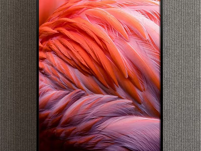 Closeup View Of Vibrant Pink And Orange Flamingo Feathers With Soft Texture 3d model