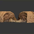 Anatomical Organ Model With Hair Like Textured Surface And Orange Color
