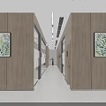 Modern Office Corridor With Wooden Walls Green Plants Large Window Forest View And Steps