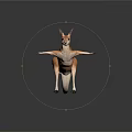 Realistic Kangaroo 3D Render With Standing Posture And Detailed Features 3d model