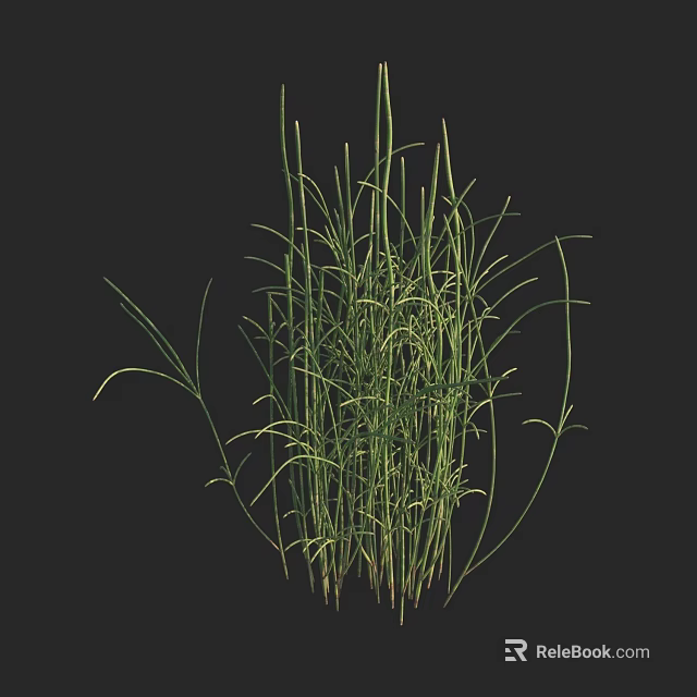 Green Aquatic Plants With Long Stems And Leaves For Water Garden Decoration 3d model 