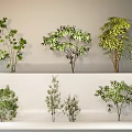 landscape trees small trees landscape trees courtyard plants 3d model