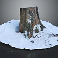 Wooden Tree Stump Covered With Fresh Snow On Natural Ground Texture