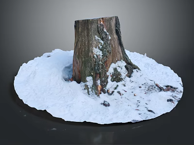 Wooden Tree Stump Covered With Fresh Snow On Natural Ground Texture 3d model