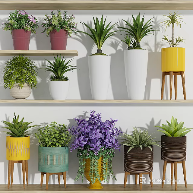 Colorful Bonsai Potted Plants With Various Greenery In Decorative Pots On Shelf And Stand 3d model 