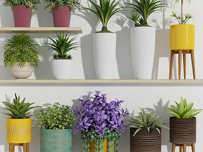 Colorful Bonsai Potted Plants With Various Greenery In Decorative Pots On Shelf And Stand 3d model