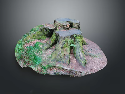 Natural Scenic Landscape With Moss Covered Tree Stumps Green Vegetation And Earth Ground 3d model