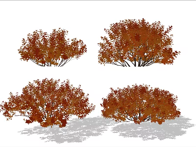 Lush Orange Red Shrubs With Autumn Foliage And Natural Shadows 3d model