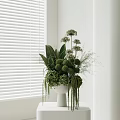 White Vase With Green Plants Round Flowers And Hanging Foliage By Window With Blinds
