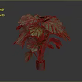 Monstera Plant With Large Green Leaves In Metallic Pot Against Grey Background