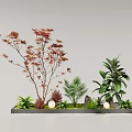 Garden Landscape Design With Red Maple Tree Green Plants Moss Stones And Round White Ornaments