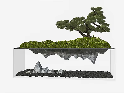 Bonsai Plant Design Featuring Pine Tree on Moss Covered Platform with Rocks and Black Pebbles 3d model