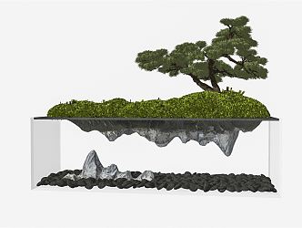 New Chinese Bonsai 3d model