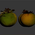 Five Fresh Persimmons With Yellow Orange And Green Hues On Dark Background