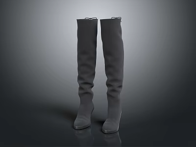 Stylish Gray Knee High Suede Boots With Low Heel For Women Fashion 3d model