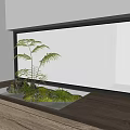 Miniature Indoor Garden Display In Wooden Container With Moss Ferns And Frosted Glass Wall