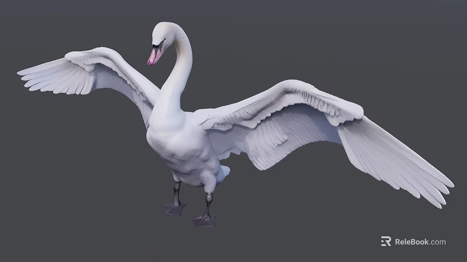 White Swan Aquatic Bird With Spread Wings Graceful Pose And Detailed Feathers 3d model 