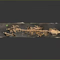 Dog Skeletal Organ Structure Display Standing On Exhibition Platform With Detailed Bones