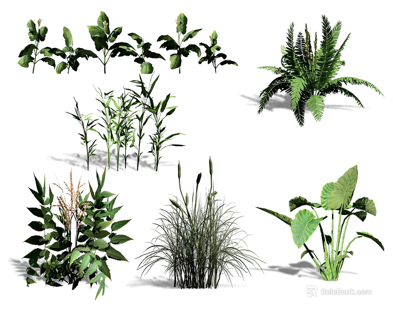 Diverse Collection Of Green Plants Featuring Ferns Bamboo And Broad Leaved Herbs 3d model 