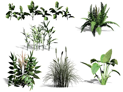 Diverse Collection Of Green Plants Featuring Ferns Bamboo And Broad Leaved Herbs 3d model