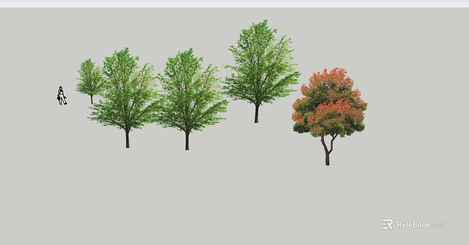 Various Arbor Trees With Green And Red Foliage In Landscape Setting 3d model