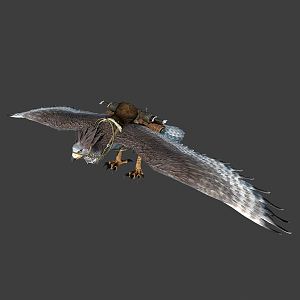 Modern Turtledove 3d model