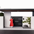 Modern Black Gate With White Walls Green Plants And Decorative Stone