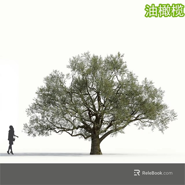 Tall Tree With Dense Green Foliage Thick Trunk And Person Silhouette 3d model 