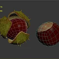 Split Chestnut Shell Revealing Red Nut And Whole Chestnut On Dark Surface