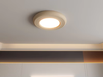 Modern Ceiling Light In Minimalist Interior 3d model