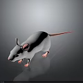 White Mouse With Pink Ears And Pink Tail On Dark Reflective Background 3d model
