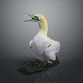 White Bird With Yellow Head Green Beak And Open Mouth Standing On Base