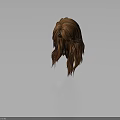 Realistic 3D Human Head Model With Long Brown Wavy Hair Texture And Details