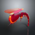 Artistic 3D Rendered Shrimp with Red Body Orange Edges and Long Antennae