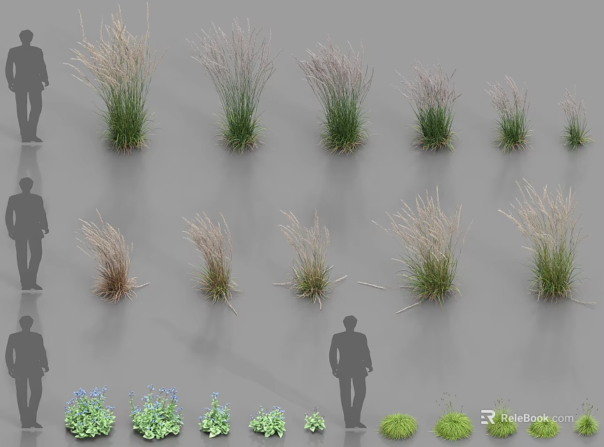 Various Ornamental Grasses and Small Plants in Different Sizes with Silhouette Reference 3d model 