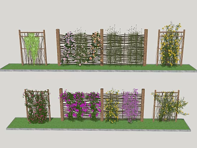 Colorful Flowering Vines Growing On Wooden Trellis In Garden With Green Grass 3d model