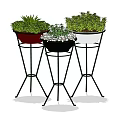 Bonsai Potted Plants with White Black Red Pots on Metal Stands and Lush Green Foliage