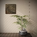 Bonsai Fern Plant in Black Pot with Stones Against Wall with Hanging Painting and Shadows